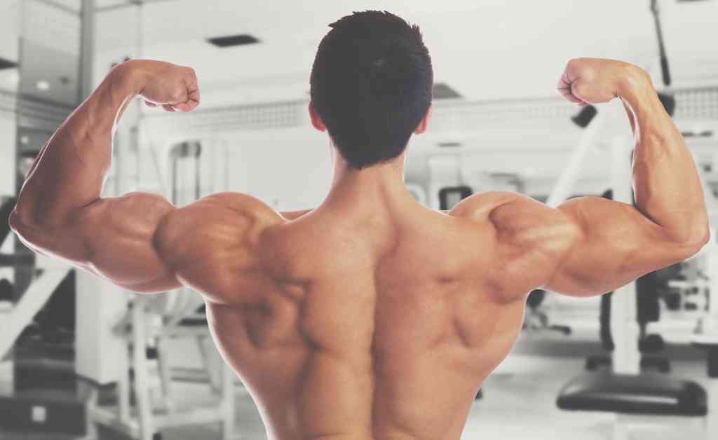 Back and biceps workouts effective